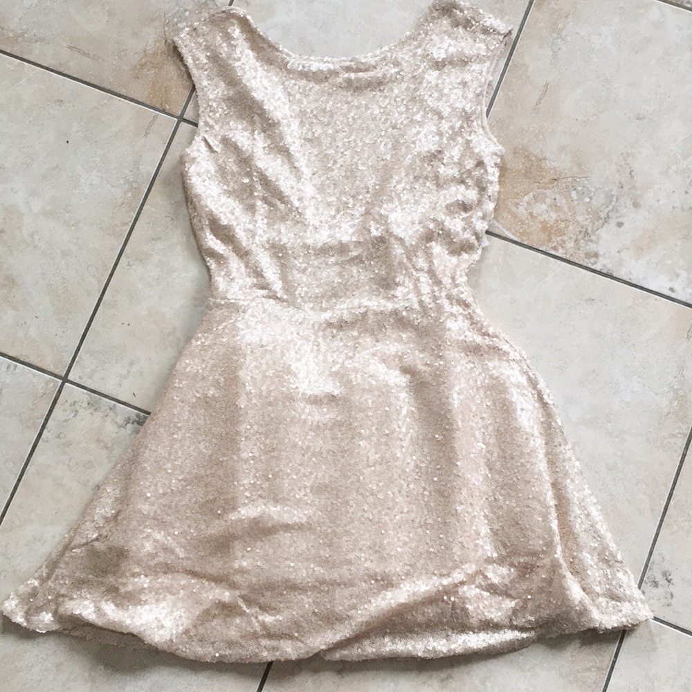 Tobi Matte Blush Skater Dress View 3